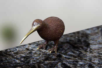 kiwi-aus-bronze